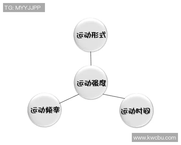 地方体育团队长期发展的核心要素与成功策略探讨